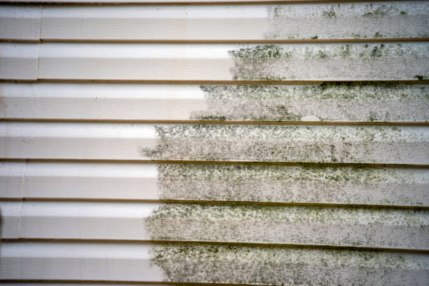 Best Siding Removal and Disposal  in Sigourney, IA